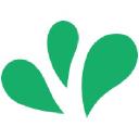 Dropps logo